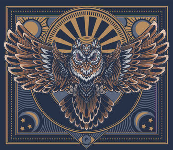 Tablou pe pânză Flying owl poster.