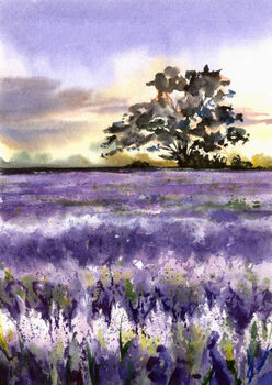 Tablou pe pânză Lavender field and tree.
