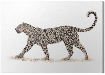 Tablou canvas Mario Moreno - The Leopard