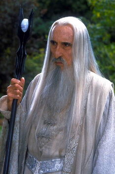 Tablou pe pânză Saruman