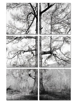 Gray tree Tablou