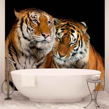 Ταπετσαρία τοιχογραφία  Tigers