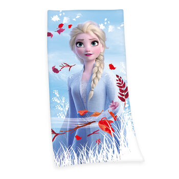 Ropa Toalla  Frozen 2
