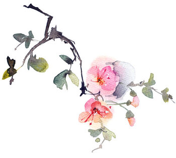Tableau sur toile Blossom tree branch