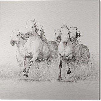 Tableau sur toile Carys Jones - Splash