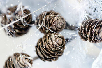 Tableau sur toile cones