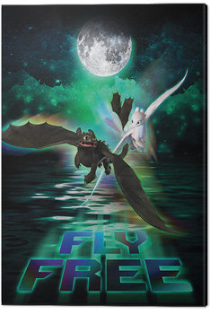 Dragons 3 : Le monde caché - Fly Free In The Moonlight Tableau sur Toile
