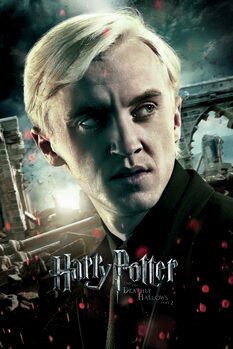 Tableau sur toile Harry Potter - Draco