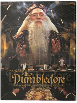 Tableau sur toile Harry Potter - Dumbledore