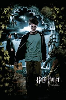 Tableau sur toile Harry Potter - Harry