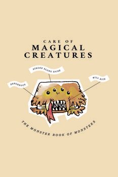 Tableau sur toile Harry Potter - Magical Creatures