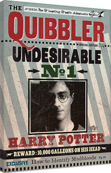 Tableau sur toile Harry Potter - Quibbler