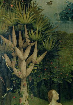 Tableau sur toile Hieronymus Bosch - Le Jardin des délices