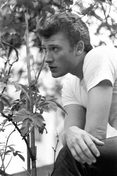 Tableau sur toile Johnny Hallyday