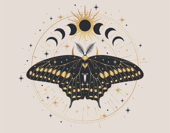Tableau sur toile Mystic gold moth isolated vector illustration.