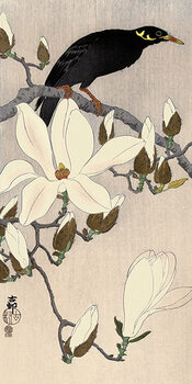 Tableau sur toile Ohara Koson - Myna on Magnolia Branch