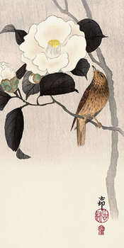 Tableau sur toile Ohara Koson - Songbird and Flowering Camellia