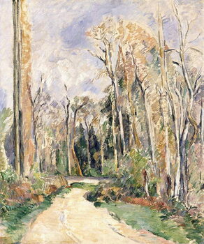 Tableau sur toile Path at the entrance of the forest