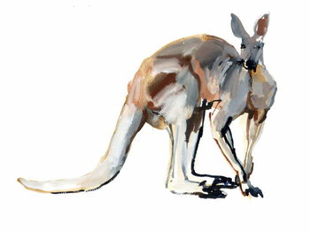 Tableau sur toile Roo, (Red Kangaroo), 2012,