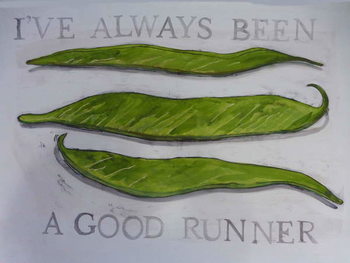 Tableau sur toile Runner Beans,2013