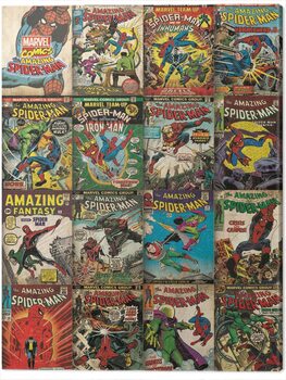 Tableau sur toile Spider-Man - Covers