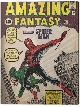 Tableau sur toile Spider-Man - Issue 1