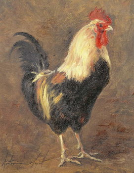 The Cockerel, 1999 Tableau sur Toile