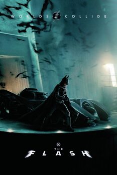 Tableau sur toile The Flash - Batman