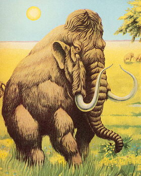 Tableau sur toile Woolly Mammoth
