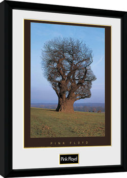 Keretezett Poszter Pink Floyd - Tree