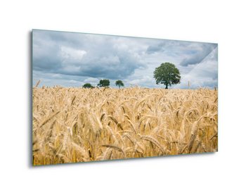 Üvegkép  Harvest Time