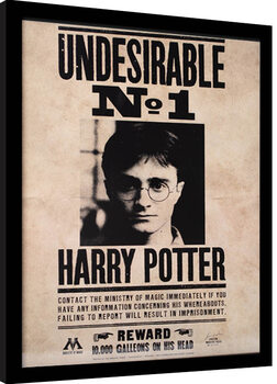 Uokvirjeni plakat Harry Potter - Undesirable N.1