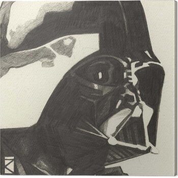 Vászonkép Star Wars - Darth Vader