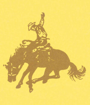 Vászonkép Cowboy