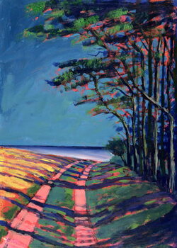 Vászonkép Devon