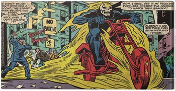 Vászonkép Ghost Rider
