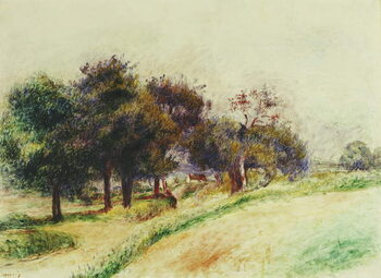 Vászonkép Landscape; Paysage,