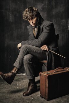 Vászonkép Legendás állatok - Newt Scamander