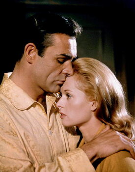 Vászonkép Sean Connery And Tippi Hedren