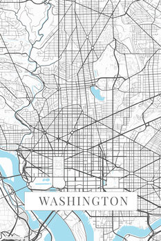 Vászonkép Washington white