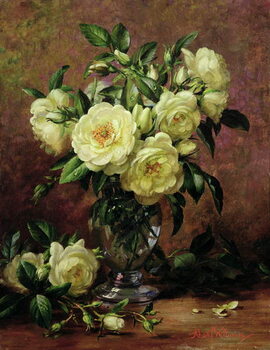 Vászonkép White Roses