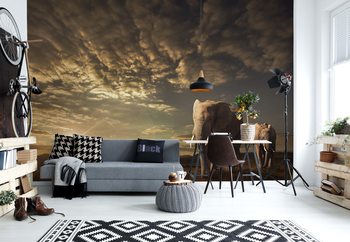 Ταπετσαρία τοιχογραφία  Walking In Savannah