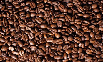 Wall Mural Coffee Beans