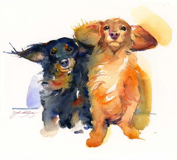Wall Mural Dacshund Duo, 2014,