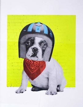 Wall Mural Easy Rider, 2016,