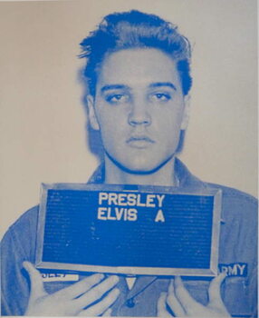 Wall Mural Elvis I, 2017