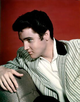 Wall Mural Elvis Presley