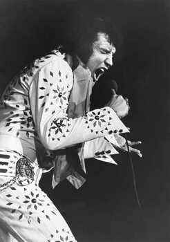 Wall Mural Elvis Presley