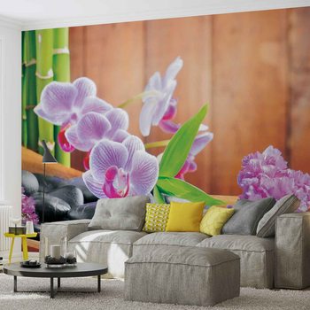 Wall Mural Flowers Orchids Zen