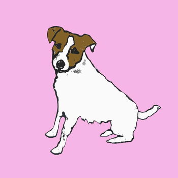Wall Mural Jack russell
